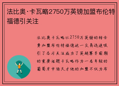 法比奥·卡瓦略2750万英镑加盟布伦特福德引关注