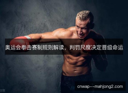 奥运会拳击赛制规则解读，判罚尺度决定晋级命运